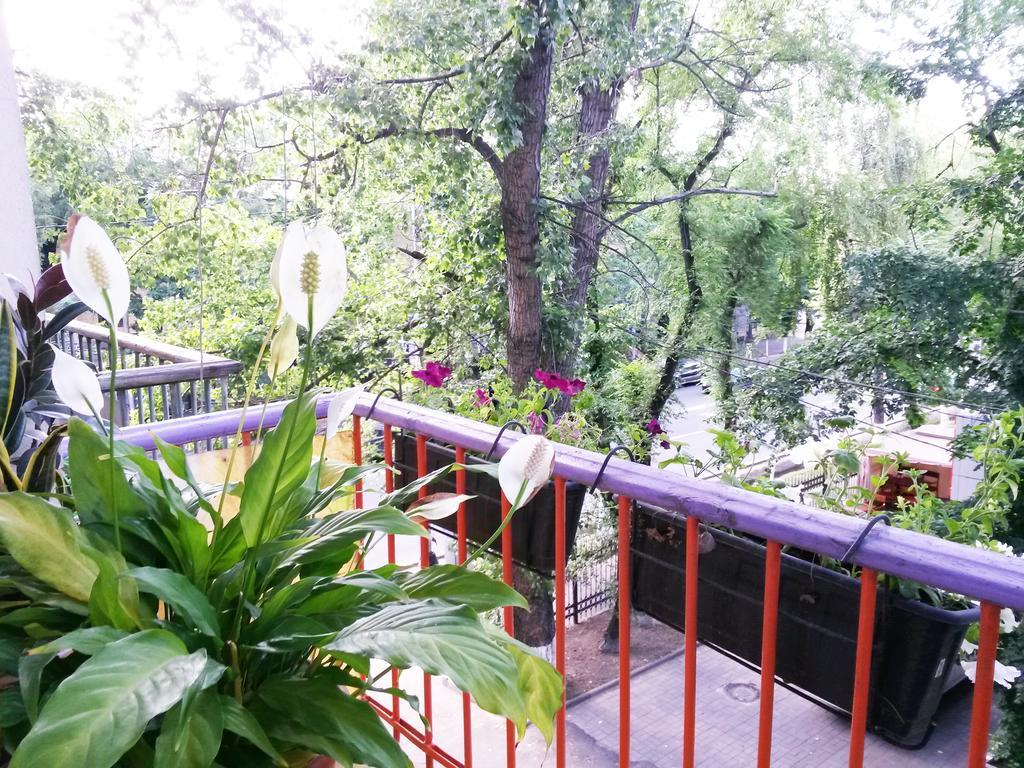 "В Центре Города" Квартира - "Downtown" Apartment Alma-Ata Exteriör bild